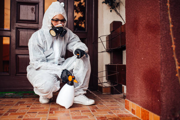 Attic and Crawl Space Rodent Treatment in Newburgh Heights