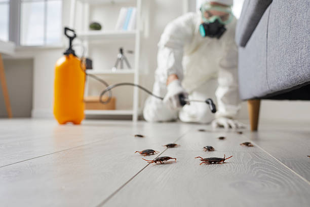 Commercial Rodent Management in Newburgh Heights
